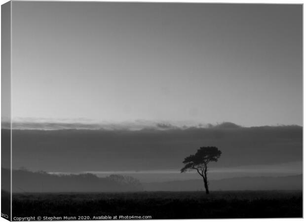 Lone tree at sunrise on the New Forest Canvas Print by Stephen Munn