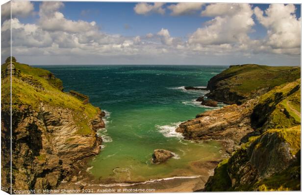 Coastline and cliffs at Tintagel, Cornwall Canvas Print by Michael Shannon