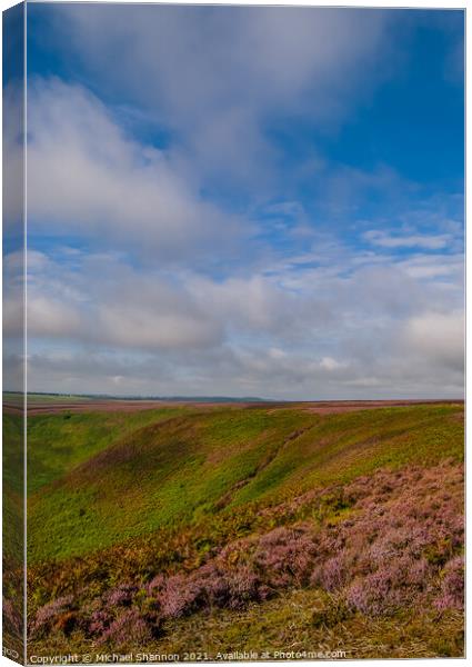 Heather Moorland - The North Yorkshire Moors Canvas Print by Michael Shannon