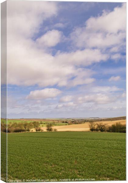 Yorkshire Wolds near Kirby Grindalythe Canvas Print by Michael Shannon
