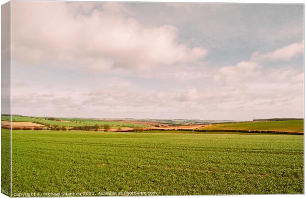 The Yorkshire Wolds near the village of Kirby Grin Canvas Print by Michael Shannon