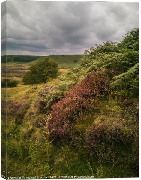 Bracken and Heather, Hole of Horcum Canvas Print by Michael Shannon