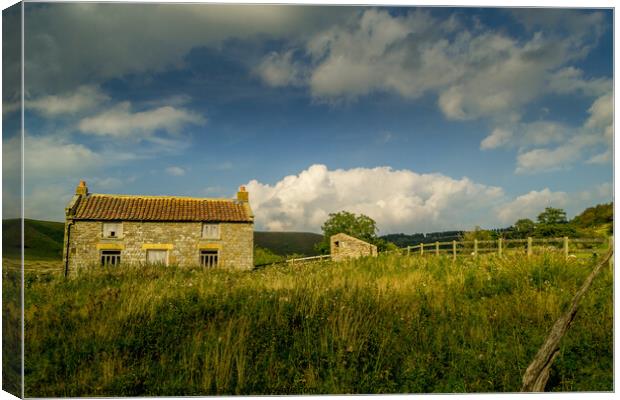 Abandoned Farm House, North Yorkshire Moors Canvas Print by Michael Shannon