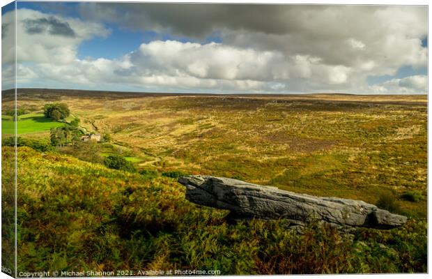 Large Stone overlooking Wheeldale, North Yorkshire Canvas Print by Michael Shannon