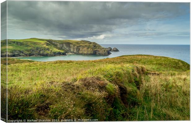 Clifftop View, looking South towards Bossiney Cove Canvas Print by Michael Shannon