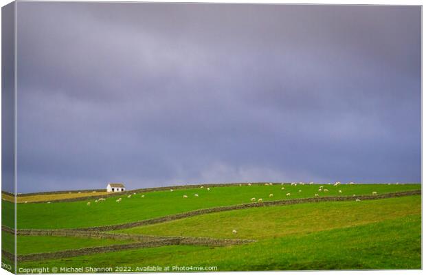 Stone Walls, Fields full of Sheep, Pennines Canvas Print by Michael Shannon
