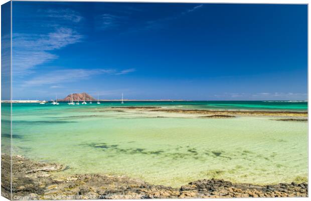 Playa Vista Lobos, Corralejo, Fuerteventura Canvas Print by Michael Shannon