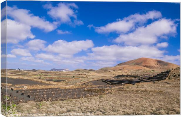 Agricultural Landscape in the Timanfaya National P Canvas Print by Michael Shannon