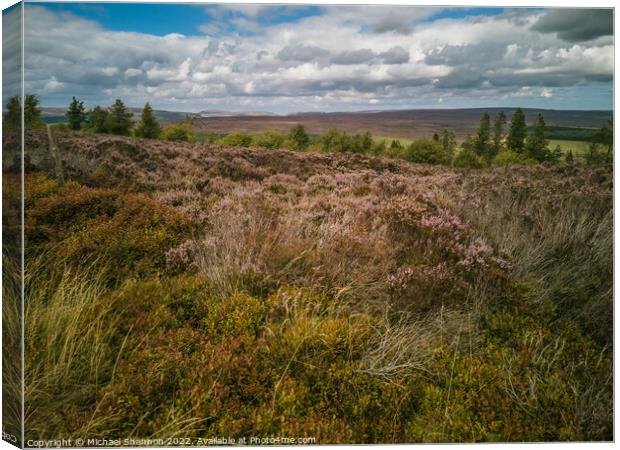 North Yorkshire Moors near Cowhouse Bank Canvas Print by Michael Shannon