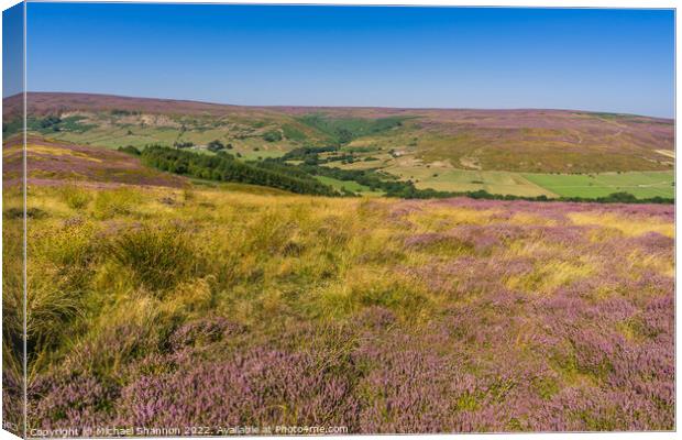 Westerdale North Yorkshire Moors Canvas Print by Michael Shannon