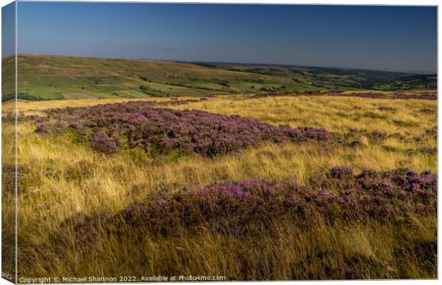 Patches of flowering heather in Rosedale, North Yo Canvas Print by Michael Shannon