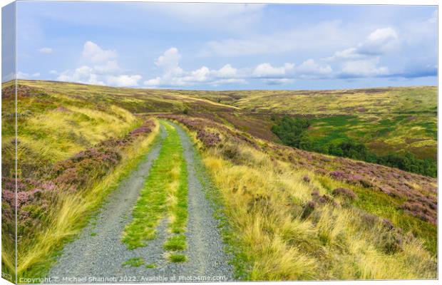 Path leading to Rosedale Head, North Yorkshire Moo Canvas Print by Michael Shannon