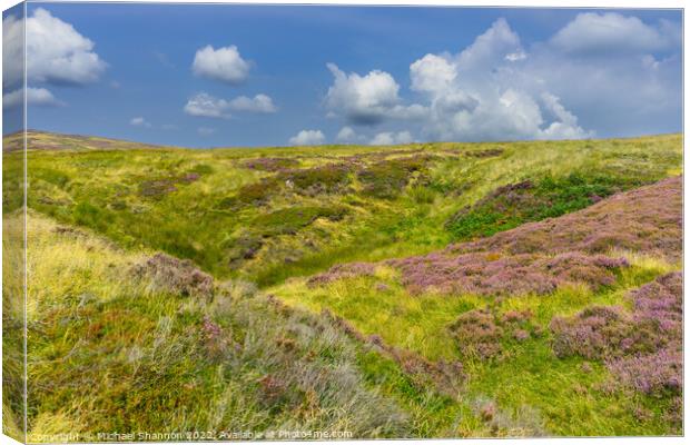 Moorland landscape in late summer  Canvas Print by Michael Shannon