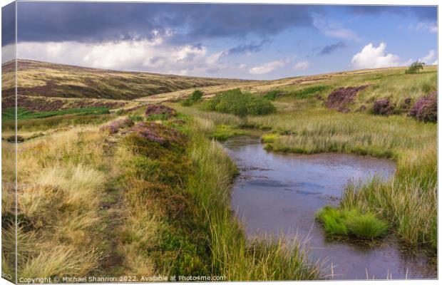 Patches of purple moorland and a small pond - Rose Canvas Print by Michael Shannon