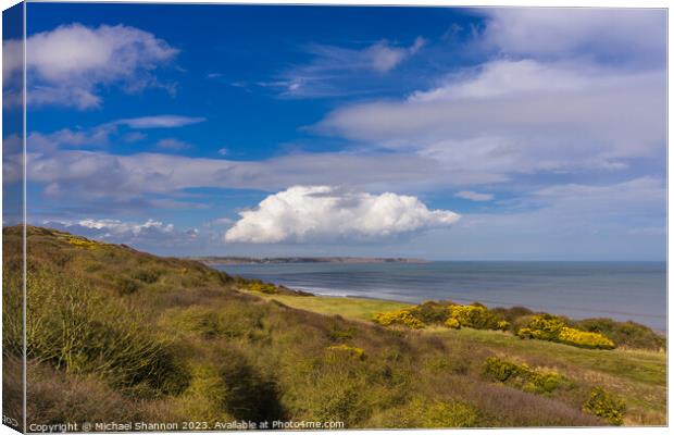 View from clifftop at Reighton, North Yorkshire Co Canvas Print by Michael Shannon