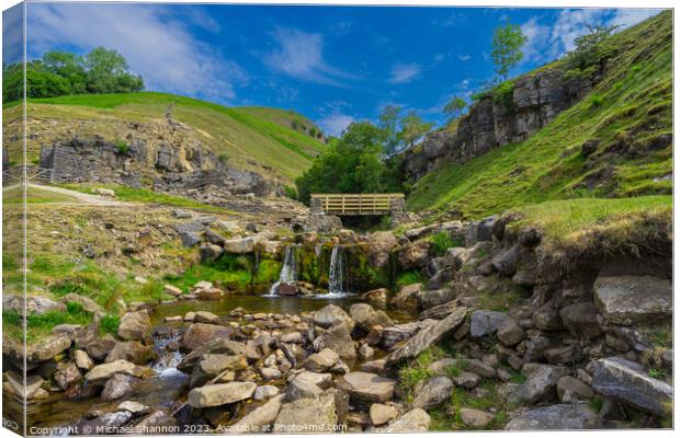 Swinnergill, Swaledale, Yorkshire Dales National P Canvas Print by Michael Shannon