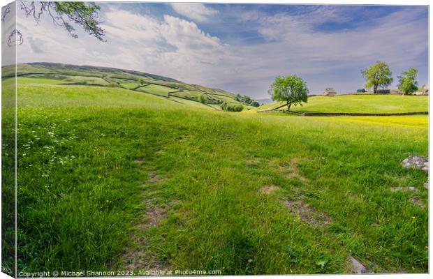Swaledale scenery near Keld, Yorkshire Dales Natio Canvas Print by Michael Shannon