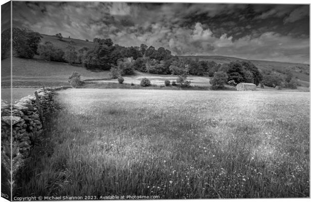 Swaledale, Wild Flower Meadow Canvas Print by Michael Shannon