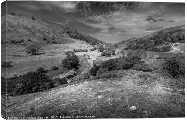 Upper Swaledale, Yorkshire Dales National Park Canvas Print by Michael Shannon