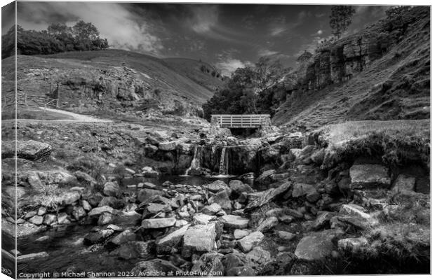 Swinner Gill, Swaledale, Yorkshire Dales National  Canvas Print by Michael Shannon