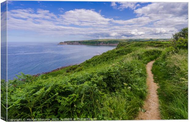 Coastal Charm: Cleveland Way - view towards Kettle Canvas Print by Michael Shannon