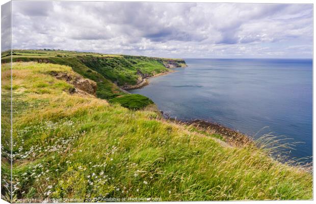 View from Cleveland Way footpath - Kettleness Canvas Print by Michael Shannon