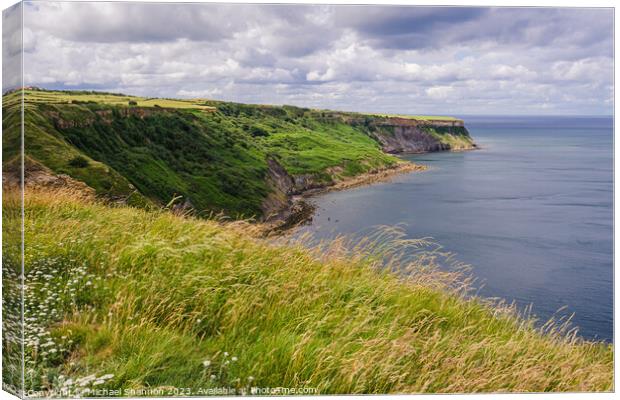 Cleveland Way between Sandsend and Kettleness Canvas Print by Michael Shannon