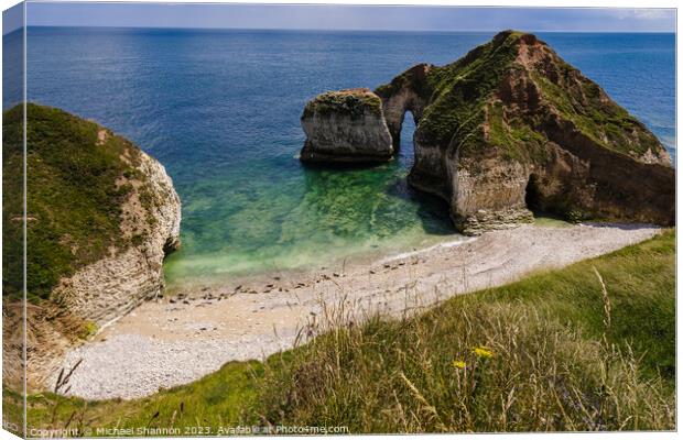 Drinking Dinosaur - Flamborough Head Canvas Print by Michael Shannon