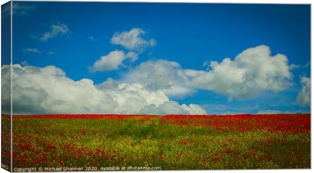 A Sea of Red Poppies Canvas Print by Michael Shannon