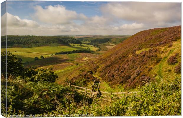 Path leading down to the Hole of Horcum Canvas Print by Michael Shannon