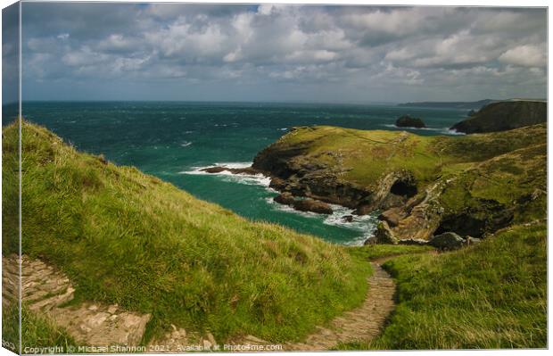 Cliff path leading to beach at Tintagel, Cornwall Canvas Print by Michael Shannon