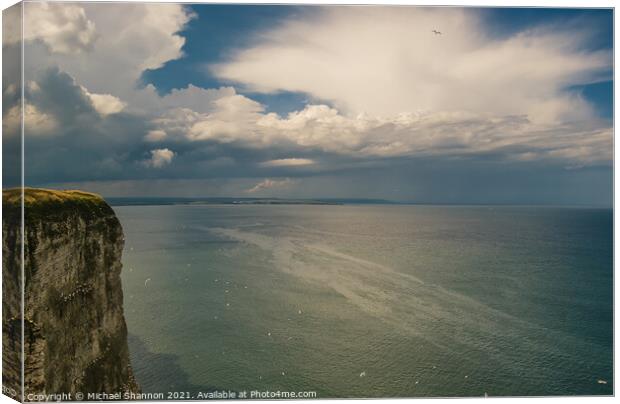 Seabirds at Bempton Cliffs on the North Yorkshire  Canvas Print by Michael Shannon
