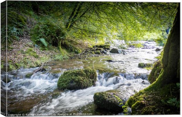 Horner Water Canvas Print by Rachel Lawrence