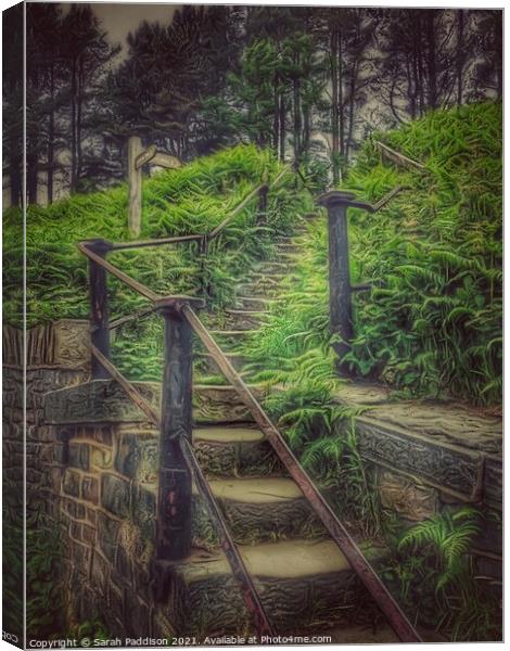 Stairway into forest Canvas Print by Sarah Paddison
