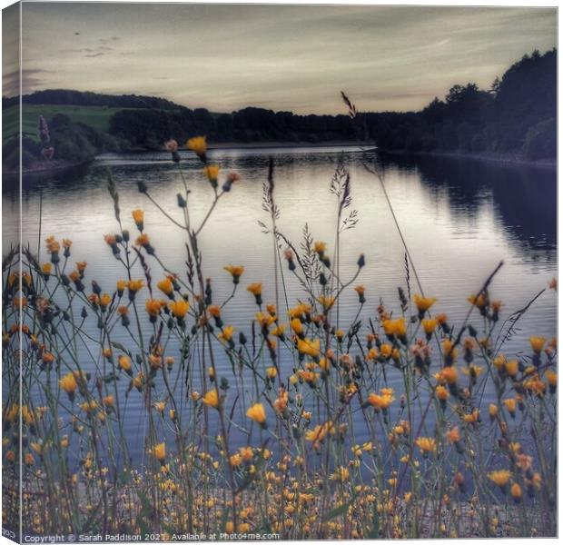 Flowers by the Reservoir Canvas Print by Sarah Paddison