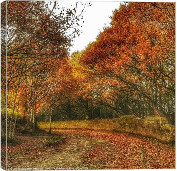Autumn on the Roman road, stalybridge Canvas Print by Sarah Paddison