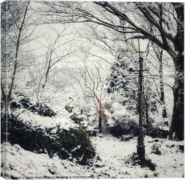 Winter wonderland to Narnia Canvas Print by Sarah Paddison