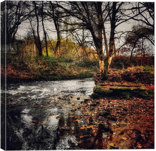 Autumn River with reflecting shadows Canvas Print by Sarah Paddison