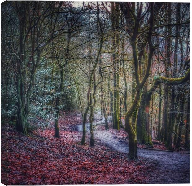 Path through an autumnal wonderland Canvas Print by Sarah Paddison