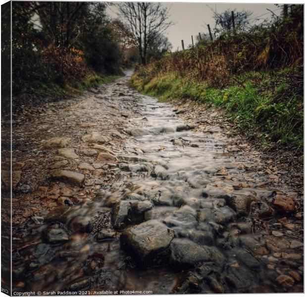 A stream running down a cobbled path Canvas Print by Sarah Paddison