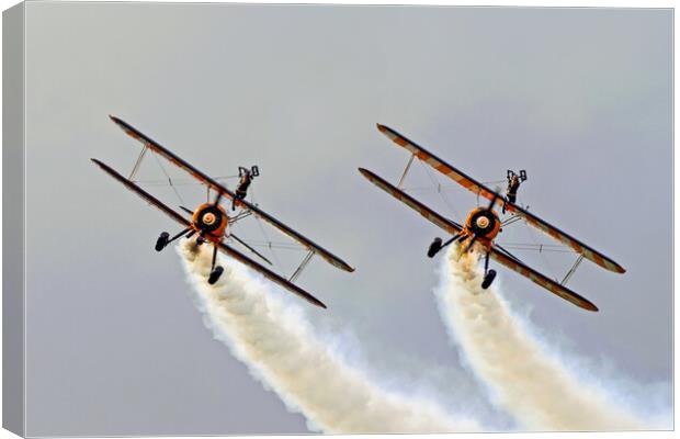 Wing Walkers Canvas Print by Michael Smith