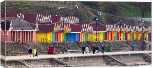 Scarborough Beach Huts Canvas Print by Sheila Eames