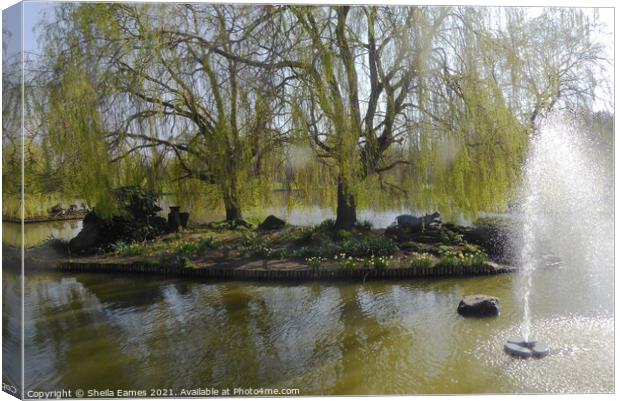 TheLakes at Hawkhurst Canvas Print by Sheila Eames