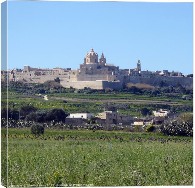 St Paul’s Cathedral, Mdina, Malta, from a distance Canvas Print by Sheila Eames