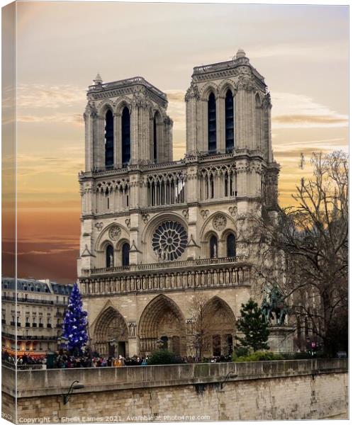 Notre Dame de Paris from the River Canvas Print by Sheila Eames