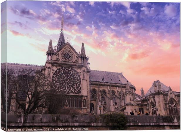Notre Dame Cathedral, Rose Window, Paris, France. Canvas Print by Sheila Eames