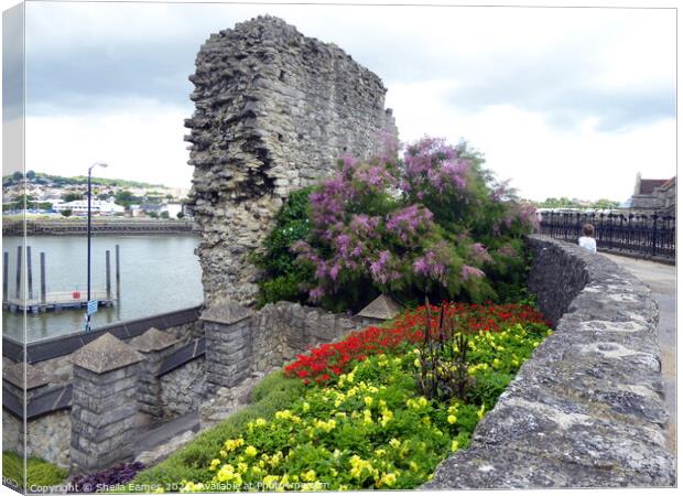 River, City Wall and Garden at Rochester, Kent Canvas Print by Sheila Eames
