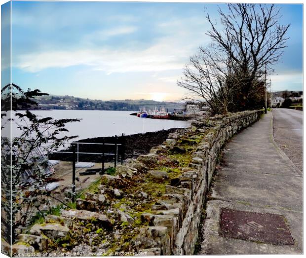 The Road to the Fishing Harbour, Union Hall, Co.Cork Canvas Print by Sheila Eames