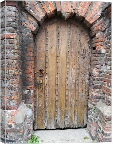 Old Oak Studded Door  Canvas Print by Sheila Eames