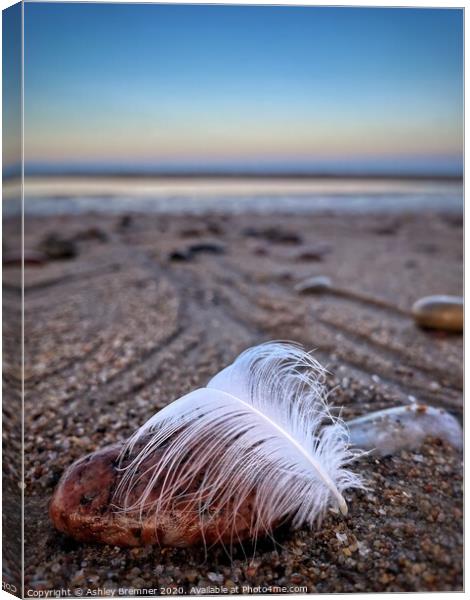 The drop of a feather  Canvas Print by Ashley Bremner